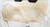 2004 San Francisco 49ers Derrick Hamilton #88 Game Used White Practice Jersey 94