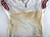 2002 San Francisco 49ers Blank Game Issued White Jersey 48 131