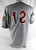 Wisconsin Timber Rattlers #12 Game Used Grey Jersey 44 307