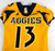 North Carolina A&T Aggies #13 Game Used Yellow Jersey Football L 293