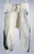 Michigan State Spartans Game Issued White Pants Football 26 259