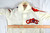 Cleveland Cavaliers Game Used White Warm Up Jacket 248