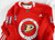 2017-18 Anaheim Ducks Nathan Gaucher #41 Game Used Red Practice Jersey 58 400