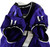 2020 Texas Christian TCU Frogs #17 Game Used Purple Jersey Football NP R 42 065