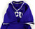 2023 Texas Christian TCU Frogs #41 Game Used Purple Practice Jersey Baseball L 2