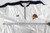 1999-00 Golden State Warriors Billy Curley #15 Game Used White Shooting Shirt 3