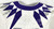2023-24 Texas Christian Frogs #42 Game Used White Jersey Football NP Rem 42 674