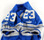 1999 Detroit Lions Terry Fair #23 Game Used Blue Jersey 44 0249