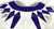 2020 Texas Christian TCU Frogs #30 Game Used White Jersey Football NP Rem 42 627
