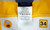 2019 Pittsburgh Steelers Terrell Edmunds #34 Game Used Yellow Pants 32 363