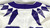 2019-22 Texas Christian TCU Frogs #60 Game Used White Jersey Football NP R 48 64