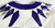 2021 Texas Christian TCU Frogs #32 Game Used White Jersey Football NP R 44 629