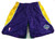 2009-10 New Orleans Hornets Team Issued Mardi Gras  Basketball Shorts Size XL