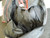 Arizona Diamond Backs Team Used Black Canvas Baseball Equipment Bag