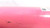 MEYITO Game-Used Tater Mother's Day Pink 34" Bat Pirates