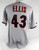 2009 Arizona Diamondbacks Josh Ellis #43 Game Issued Grey Jersey 48 305
