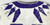 2019-24 Texas Christian TCU Frogs #90 Game Used White Jersey Football NP R 48 31