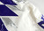 2019-24 Texas Christian TCU Frogs #65 Game Used White Jersey Football NP R 50 28