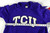 2010s Texas Christian TCU Horned Frogs #2 Game Used Purple Jersey Baseball L 0