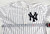 2017 New York Yankees #66 Game Issued White Jersey ST Opening Day 46 123