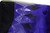 2019-24 Texas Christian TCU Frogs #79 Game Used Purple Jersey Football NP R 50 3