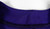 2017-22 Clemson Tigers #22 Game Issued Pos Used Purple Jersey Football NP Rem 8