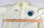 1980s Dallas Mavericks Game Used White Warm Up Jacket Sand Knit 48 DP100777