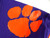 2017-22 Clemson Tigers #29 Game Issued Pos Used Purple Jersey Football NP Rem 7
