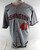 2025 Washington Nationals Colin Poche #41 Game Issued Grey Jersey 46 274