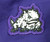 2020-21 Texas Christian TCU Horned Frogs Game Issued Basketball Shorts XL 110315