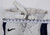 2000s Utah State Aggies #39 Game Used White Football Pants Size M DP110257