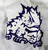 2016-17 Texas Christian TCU Horned Frogs Game Issued Basketball Shorts 44 110387