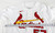 St. Louis Cardinals Zack Thompson #57 Authentic Signed White Jersey 48 545
