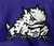 2019 Texas Christian TCU Horned Frogs Game Issued Purple Shorts XL DP110367