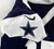 2025 Dallas Cowboys Marist Liufau #35 Game Used Navy Practice Jersey 48 477