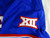 2025 Kansas Jayhawks #31 Game Used Blue Jersey Baseball 42 604