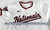 2025 Washington Nationals Cayden Wallace #56 Game Issued White Jersey 46 724
