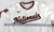 2025 Washington Nationals Andrew Knizner #9 Game Issued White Jersey 46 732
