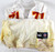 1999 Kansas City Chiefs Norris McCleary #71 Game Issued White Jersey 46 624