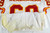 1999 Kansas City Chiefs Jeff Blackshear #69 Game Issued White Jersey 48 628