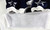 2025 Dallas Cowboys Israel Abanikanda #30 Game Used White Practice Jersey 44 496