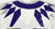 2019-24 Texas Christian TCU Frogs #86 Game Used White Jersey Football NP R 42 46
