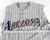 2002 Arizona Diamondbacks Mark Little #11 Game Used Grey Vest Jersey 46 244