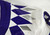 2019-24 Texas Christian TCU Frogs #80 Game Used White Jersey Football NP R 42 51