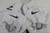 2017 Cleveland Browns Kevin Johnson #28 Game Used White Practice Jersey 46 443