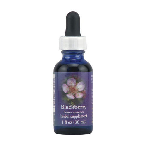 Blackberry Herbal Supplement Dropper By Flower Essence 1 Oz