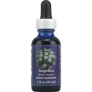 Angelica Herbal Supplement Dropper By Flower Essence - 1 Oz