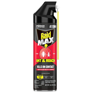 Raid Max Roach Insect Killer Aerosol Spray On Bugs - 14.5 Oz