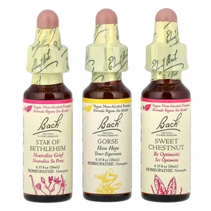 Bach Original Flower Remedies Hope and Joy 3 Droppers Comfort Kit Non Alcohol Formula Relief Nervous Tension 1Ea