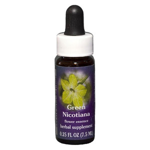 Flower Essence Services Green Nicotiana Dropper Supplement for Body Mind Wellness 0.25Oz (7.5ml)